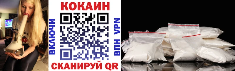 COCAIN Fish Scale  кракен ТОР  Суздаль 