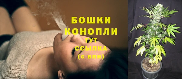 бошки Корсаков