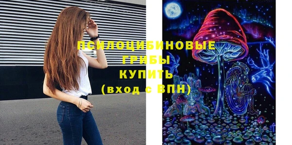 бошки Корсаков