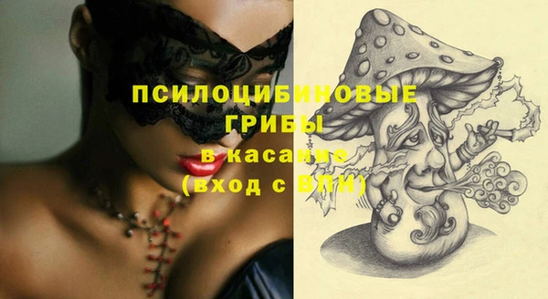 бошки Корсаков