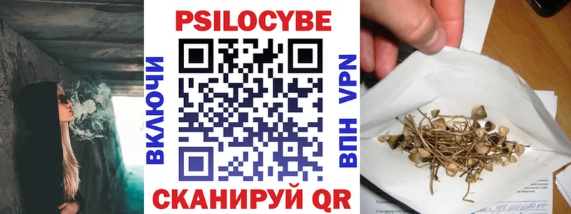 что такое   Суздаль  Псилоцибиновые грибы MAGIC MUSHROOMS 